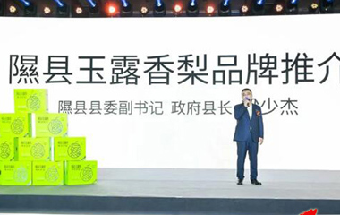 隰縣玉露香梨相逢滬上